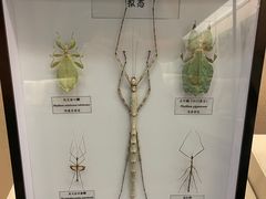 -汕头市博物馆