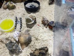 -宁波科学探索中心
