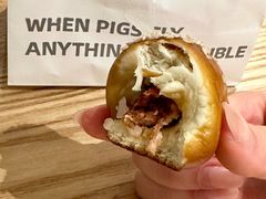 -WHEN PIGS FLY当猪飞