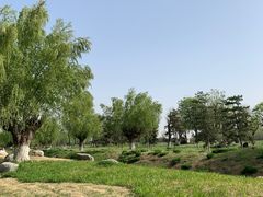 -汉长安城未央宫国家考古遗址公园