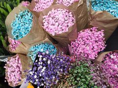 -循礼门鲜花花市(武汉循礼门店)