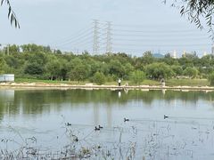 -永定河休闲森林公园