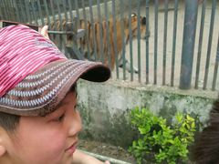 -祥源·阜阳生态乐园