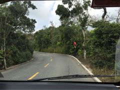 亚龙湾人间天堂-鸟巢度假村-三亚亚龙湾人间天堂鸟巢度假村