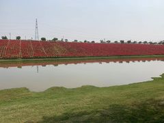 -迪茵湖田家舍生态农场