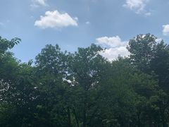 -重庆市江北嘴中央商务区中央公园