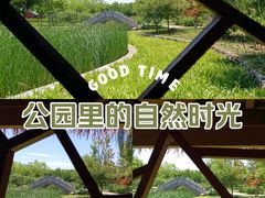-张家湾公园