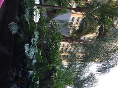 三亚湾红树林度假世界·木棉酒店-三亚湾红树林度假世界(木棉酒店)