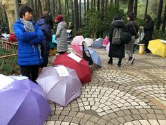 -人民公园-相亲角