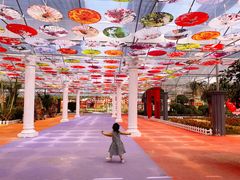 -广东花都香草世界旅游度假区