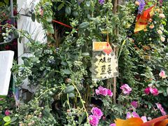 -广西壮族自治区药用植物园