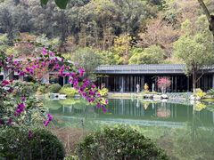 -云溪植物园