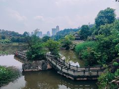 -张坝桂圆林公园