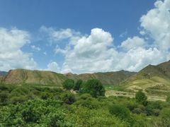 -郭莽湿地