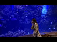 -芜湖新华联大白鲸海洋公园