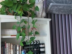 -青春加萌照相馆