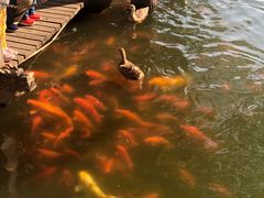 -华雅花园大酒店