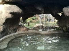 -金穗园温泉酒店