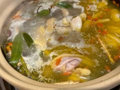 石橄榄鸡煲-邹开喜·炭炉鸡煲·海鲜火锅(虹口足球场店)