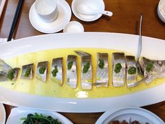 椒麻鸡汁白鱼-品大三·经典淮扬菜(大行宫店)