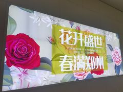 -郑州东站