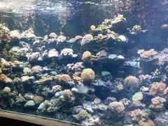 -北海·海洋之窗