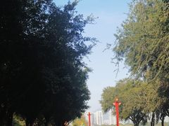-飞来湖湿地公园