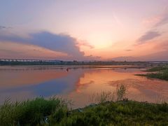 -绿堤公园
