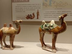 -深圳博物馆(古代艺术馆)