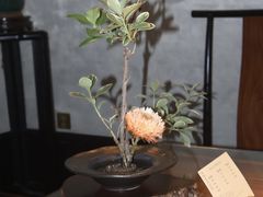 -31号公馆(黄兴广场白果园店)