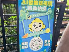 -亚龙湾热带天堂森林公园
