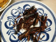 -虢国羊肉汤馆(政二街店)