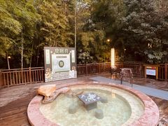 -天目湖涵田半山温泉