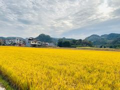 -上甘棠村