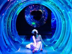 -海合安成都极地海洋公园