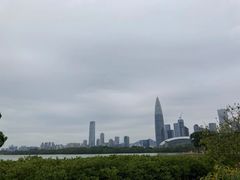 -深圳湾公园(南山区)