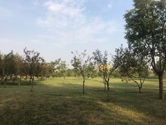 -洨河生态公园