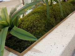 -小董哥烤串·爆汁大油边(故宫店)