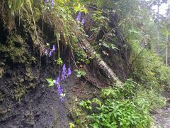 -峡谷浮石林景区