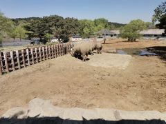 -沈阳森林动物园