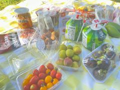 -雅鲁激流探险漂流