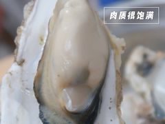 -爱蚝屋