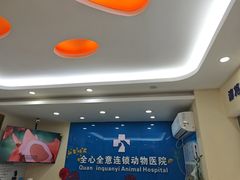 -全心全意连锁动物医院·微创中心·内科急重症·心脏专科(丰管路店)