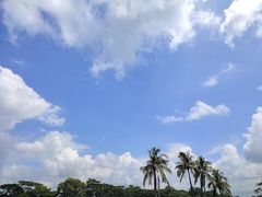 -维乐口腔医院(星海湾分院)