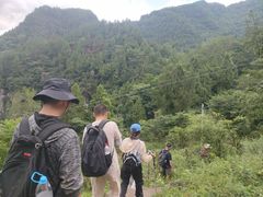 -铁山坪森林公园