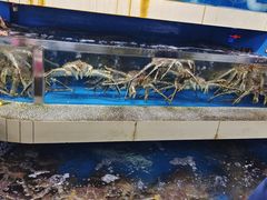 水产区-京深海鲜市场(光彩路店)