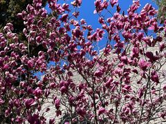 -东华门大街小区