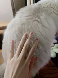 -莫奈花园日式美甲美睫