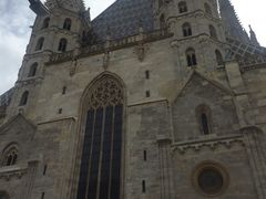 -斯蒂芬主教座堂(Stephansdom)