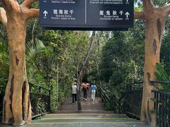 -呀诺达热带雨林